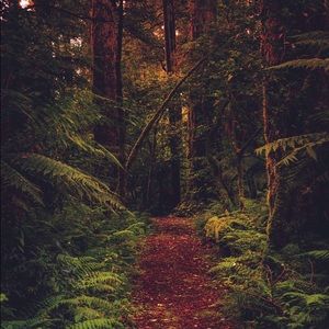 Meet your Posher, Audus